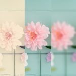 同じものでも見え方が変わる