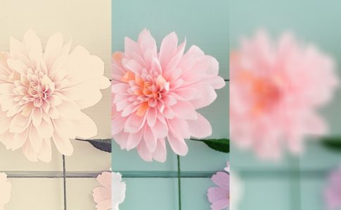 同じものでも見え方が変わる