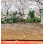春の景色